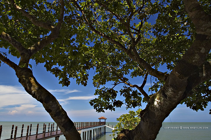 Arrival 001 Composition in Landscape Photography