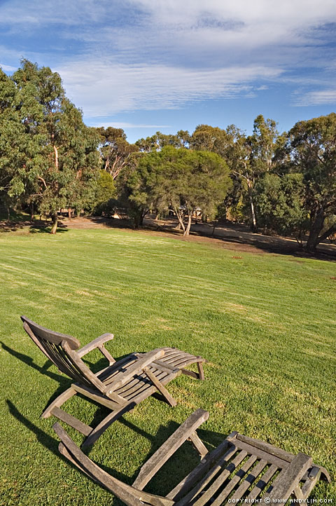 Bellbrae_Chairs