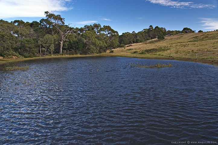 Bellbrae_Lake2