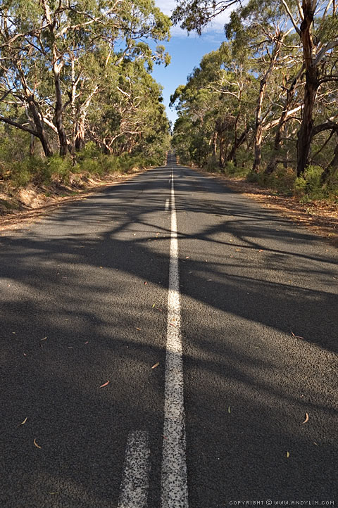 Bellbrae_Road_Ahead2
