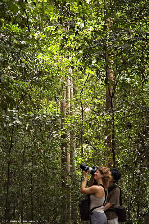 Photographers
