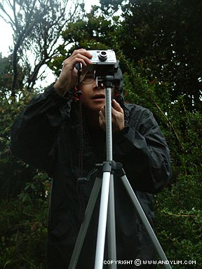 Click for next photo
