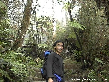Click for next photo
